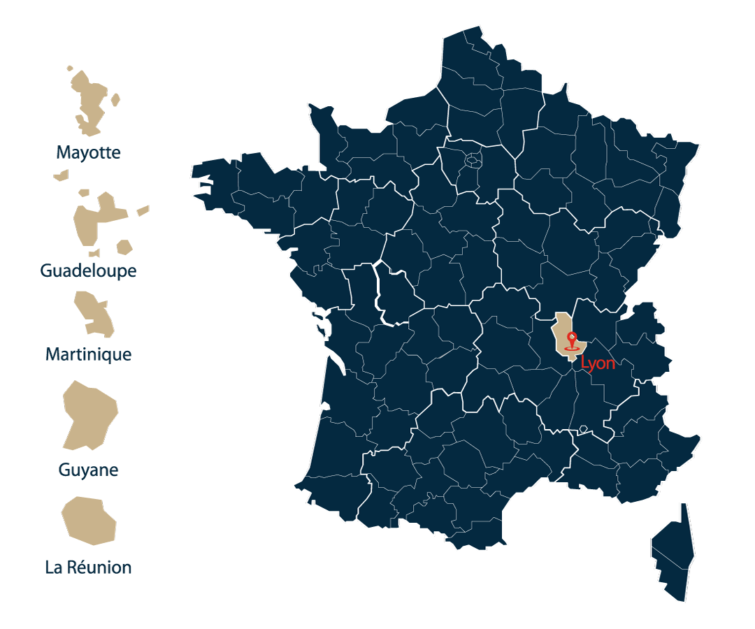Carte-France---Dom-tom.ai